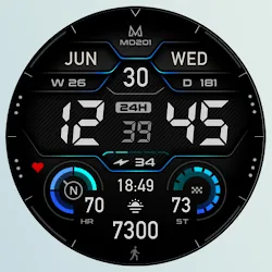 MD201 Digital watch face icon