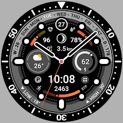 BRN205 : Watch Face icon