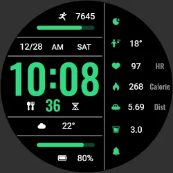 Practical Dark Green ZkinWatch icon