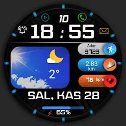 FSW248 digital Watchface icon