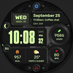 WFP 245 Digital watch face icon