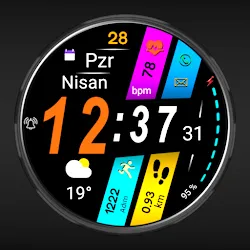 FSW260 WATCHFACE icon