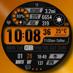 SEASONS - Digital Watch Face icon