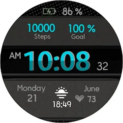 TSD24 Watch Face Wear OS icon