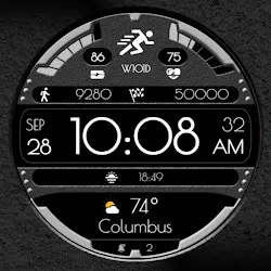 W101D icon