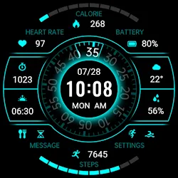 Shimmer Turntable ZKin Watch icon