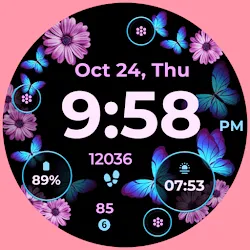 Butterflies and Flowers icon