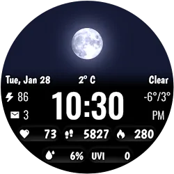 Weather Animated Pro icon