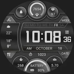 ZKin Watch Face Extremely Gray icon