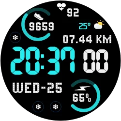 DF065 icon