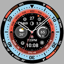 BRN204 : Watch Face icon