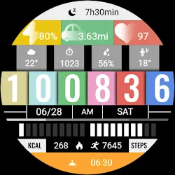 Signal Malfunction ZKin Watch icon