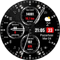 S200 Hybrid Watchface icon