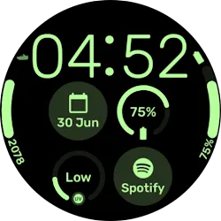 InfoGrid - Wear OS Watchface icon