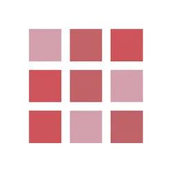 Error Match icon