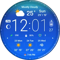ACRO Digital Weather2 Watch icon