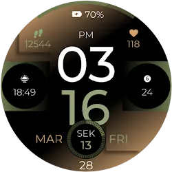 Sport Metrics Watch Face icon