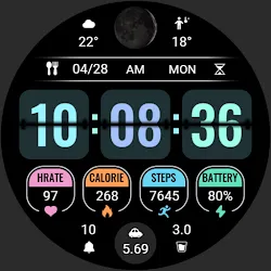 Page Flipping Data ZKin Watch icon