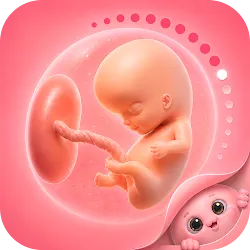 Pregnancy Tracker - Buddy App icon