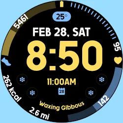 Active Vivid 2 icon