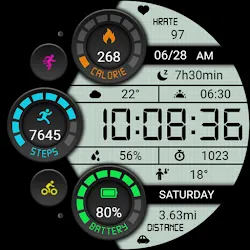 Retro Functional LCD ZKinWatch icon