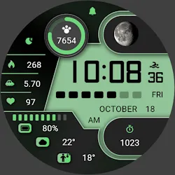 ZKinWatch Business Green Field icon