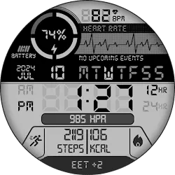 Tancha S61 Retro Watch Face icon