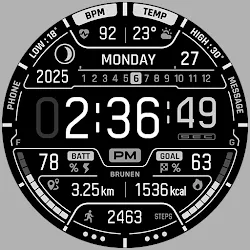 BRN166 - TALON icon