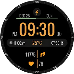 Electronic Time Watch Face icon