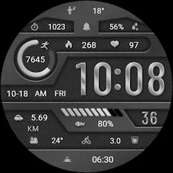 Elegant Gray Metal ZKin Watch icon