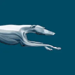 Greyhound: boletos de autobús icon
