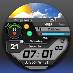 FSW277 Weather/Digital icon