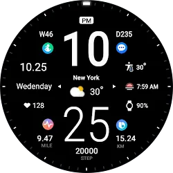 ACRO 26 Digital Info Watchface icon