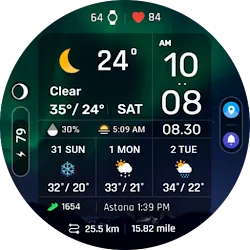 ACRO Digital Weather info2 WF icon