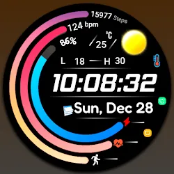 Digital FSW300 Watchface icon