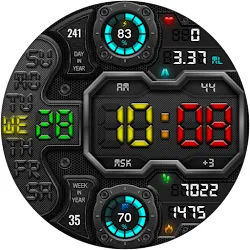 DIGI RAPANS WS24 Watch face icon