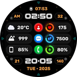 Wyvern Watch Face icon