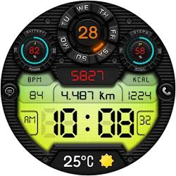 DIGI FRAMONT CTS29 Watch face icon