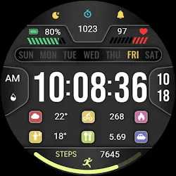 Business Clarity ZKin Watch icon