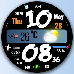 FSW315 Digital Watch Face icon