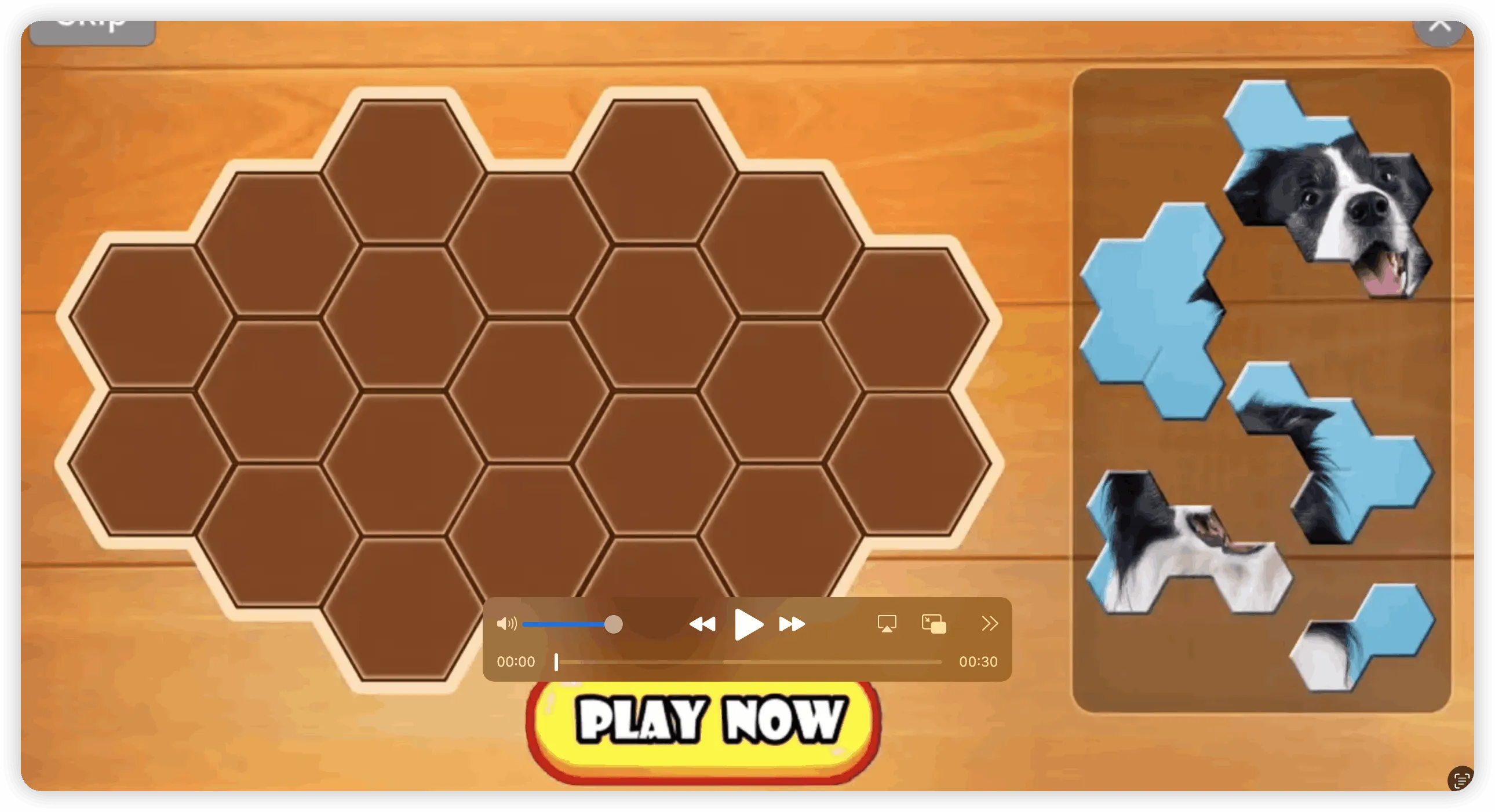 challengeyourmind.org