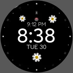 Flower Animated watch face icon