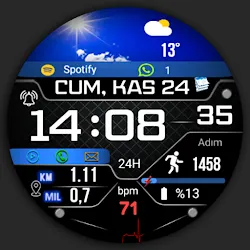 FSW247 Watchface icon