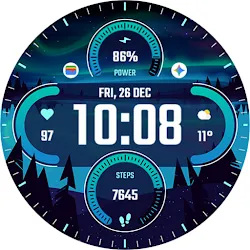 TVV Winter 2 Watch Face icon