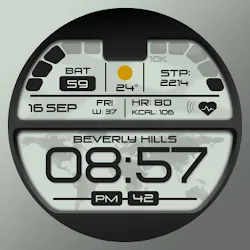[69D] W2077 icon