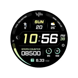 SamWatch PointColor 43 icon