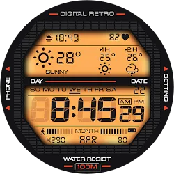 ARS Digital Retro icon