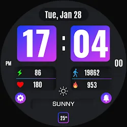 Vesa Digital Watch Face icon