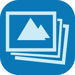 Memory icon