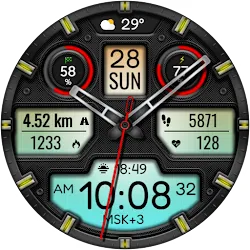 Hybrid TRUNAMA WS13 Watch face icon